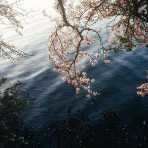 这世界那么多人（钢琴版）