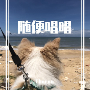 因为单身的缘故