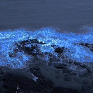 海在爱（prod.VibeBoi）