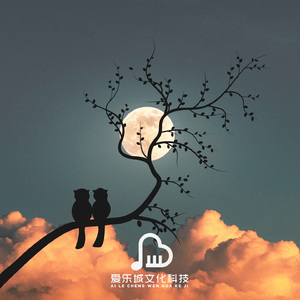 落日 阿尔法脑波音乐