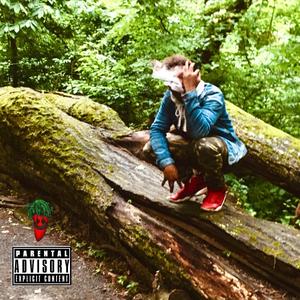 Earl Simmons (feat. Hitkidd)