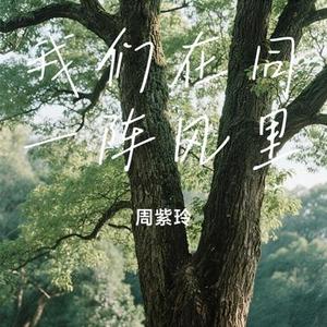 我们在同一阵风里
