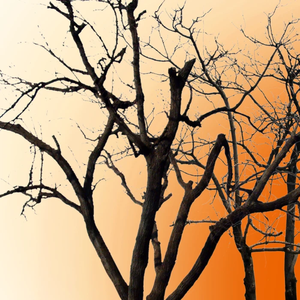 慢慢明白 （翻自 闷猪）