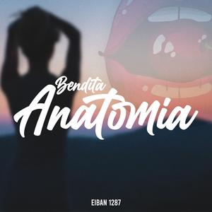 Bendita anatomía