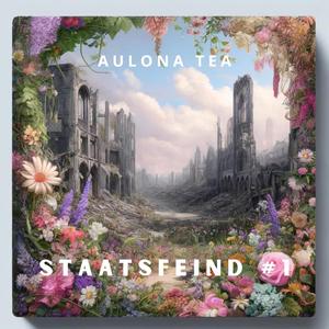 Staatsfeind #1
