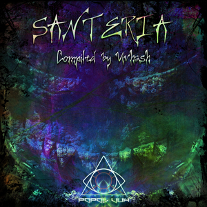 Enter The Void (Original Mix)