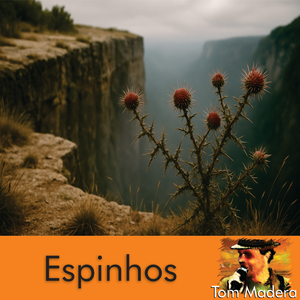Espinhos