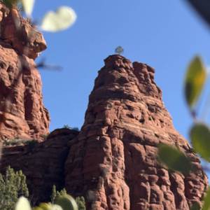 Your the Kind of Dream