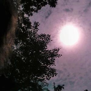 5 Drummers Walk Into A Bar (feat. Dave Anthony, Kevin Brown, Alan Camlet, Jeff Eldredge, DjTadpole, Tom Nazziola & William Weisbach)