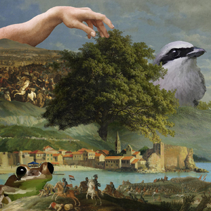 その木は誰もに愛されて