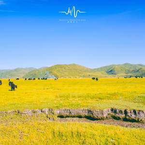 泛黄的繁华 (减压助眠空灵鼓)