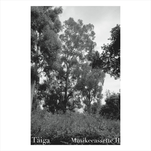 Irruption of the Jupiter Trojans