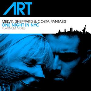 One Night In NYC (Platinum Mix)