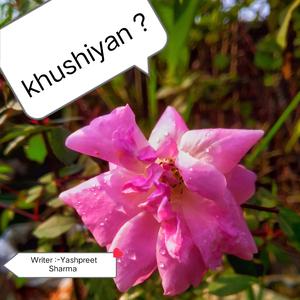 Khushiyan