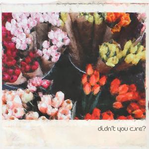 Didn't You Care?