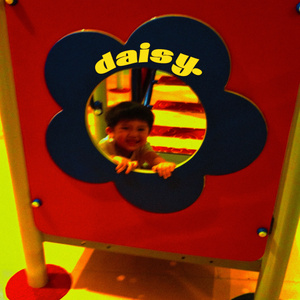 daisy