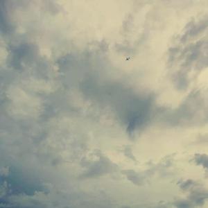 飞向九月的航班