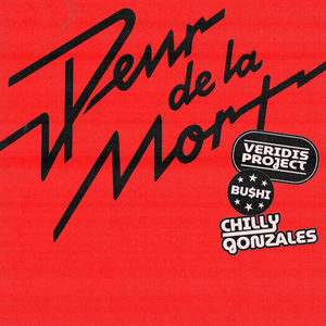Peur de la mort (Veridis Project Remix)