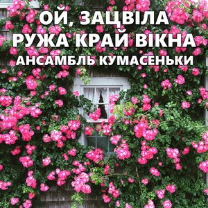 Ой, зацвіла ружа край вікна