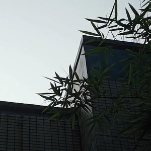 浪漫如花开满人间