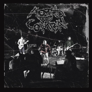 Nepriateľ ľudu (Live)