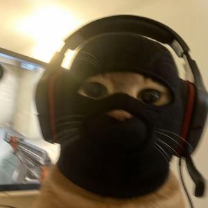 you're my ****ing dream