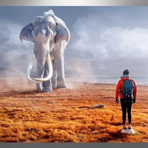 심리적 억압에서 벗어나는 명상 (상처 치유)