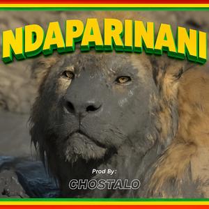 NDAPARINANI