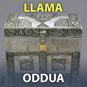Oddua Llama