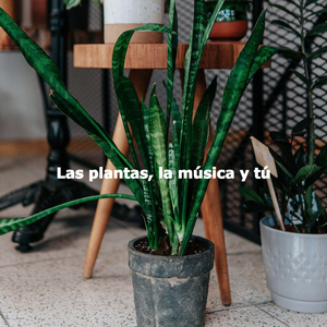 Laid-back Ambiance for Resting with Tea