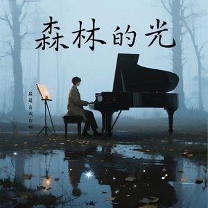 森林的光