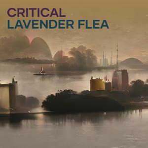 Interesting Black Squirrel