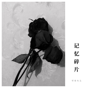 sapientdream-19.2.5随笔(Remix)