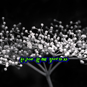 친구야 함께 걸어가자