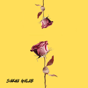 Sukha gulab