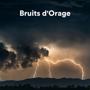 Bruissements d'éclairs pour des nuits calmes (Sons de la nature pour dormir)