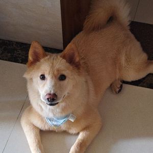 我害怕