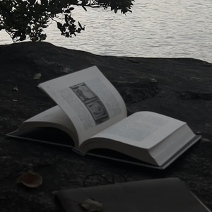 至此流年各天涯