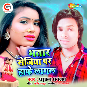 Bhatar Sejiya Par Haphe Lagal