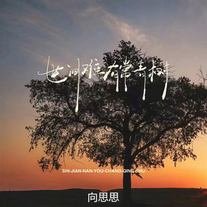 世间难有常青树