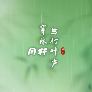 与穿林打叶声同行