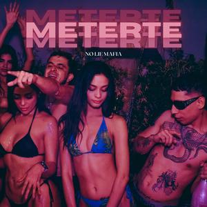 Meterte