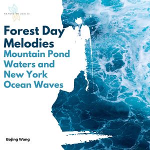 Melody of New York Ocean Waves