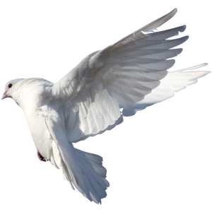 Levitating( feat.Kanye West)