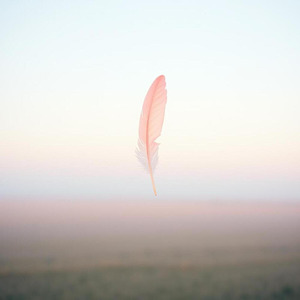 名前を忘れた朝