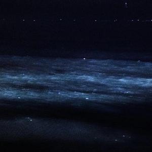 swallow (feat. freelucitt)