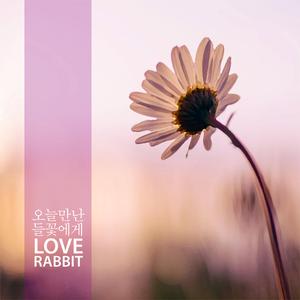 오늘 만난 들꽃에게