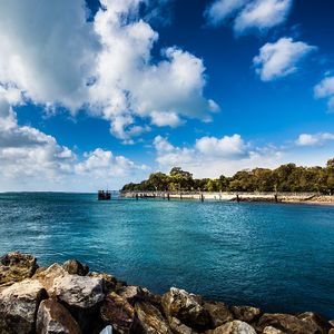 爱你痛到不知痛