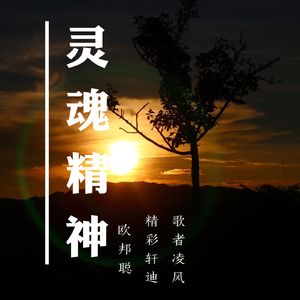 欧邦聪-只想做个俗人（Remix）（欧邦聪 / 精彩轩迪 / 沈词 remix）