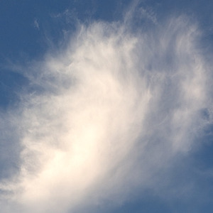 今はもっと自由に